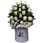 Box/Funebre 20 rosas