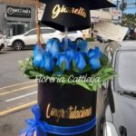 Box azul graduación